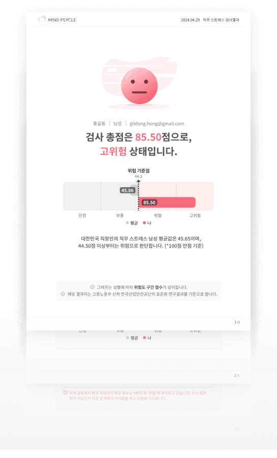 개인용 결과 진단서